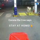 It would behoove you to stay home