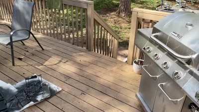 All I wanted was a slo-mo video of a flying bee