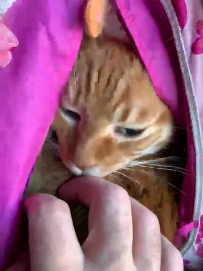 My best friend of 15 years, never misses a chance to show his love. This is Tony?