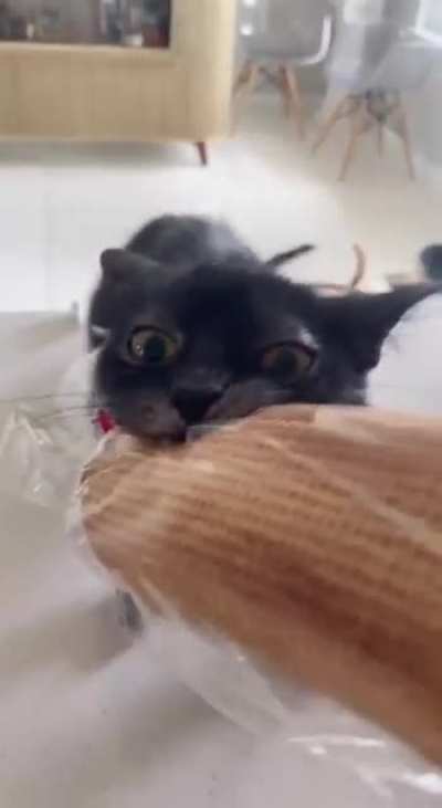 Bread