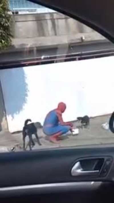 Spider man is just so amazing ?