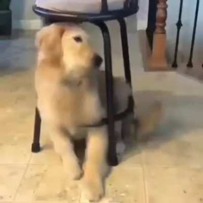 Perfect fit