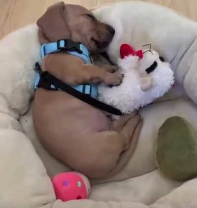 When you’re having a good dream and your best friend is there too.