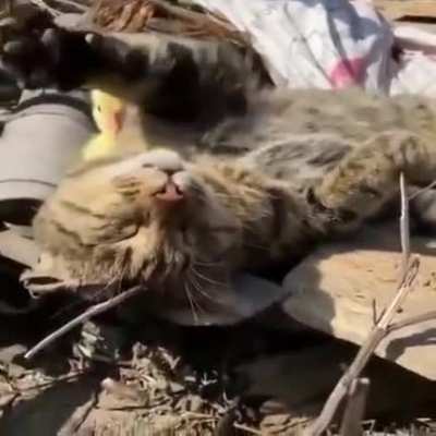 Were just hanging out