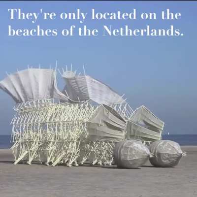 These wind-propelled animal-like structures built from pipes &amp; zip ties, cruising the beaches of the Netherlands