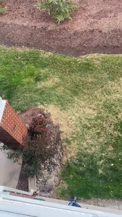 ice go splat