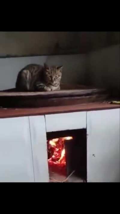 Shit is on fire yoo