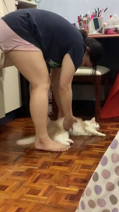 Legs not working