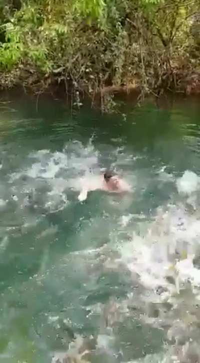 water frens