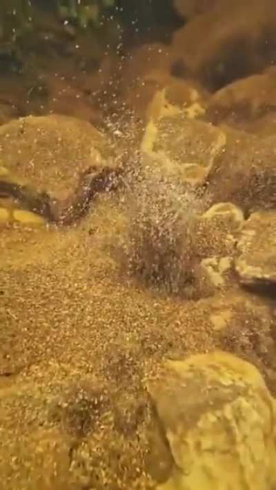 ? Newly formed natural spring.