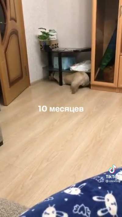 Old habits never die