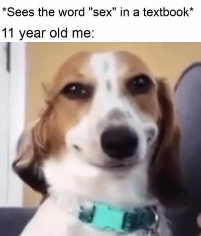 Haha secks
