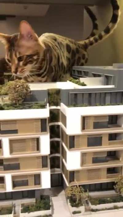 That’s a cool building... wait a sec...