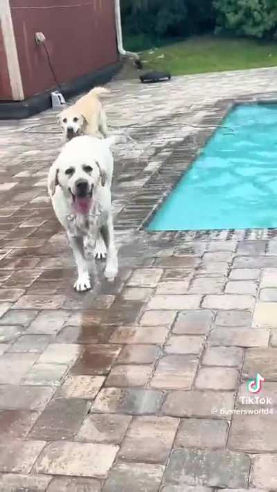 I'M TIRED OF YOUR SHIT, BUSTER!!!