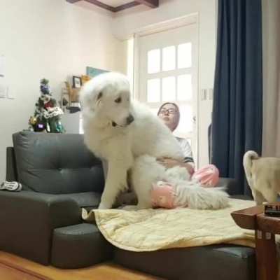 hug
