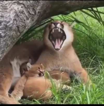 the baby just looked so chill