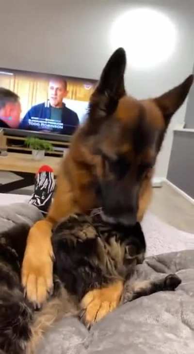I just want to love you and cuddle!