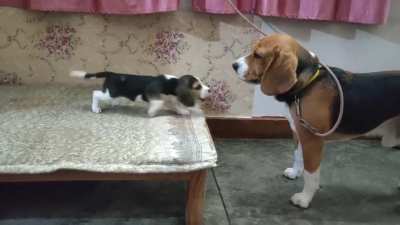 Deep conversation between father &amp; daughter