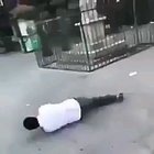 Trying to kick a bird. Why dude? Why?