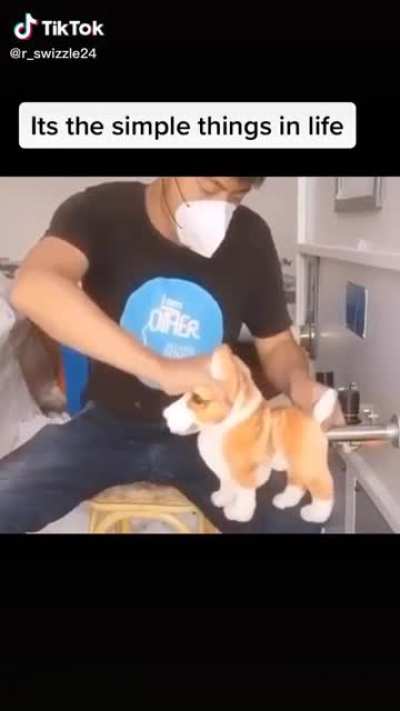How dogs are made