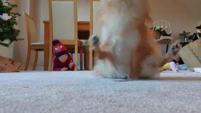 Quick, Grab The Camera, She's About To Crawl