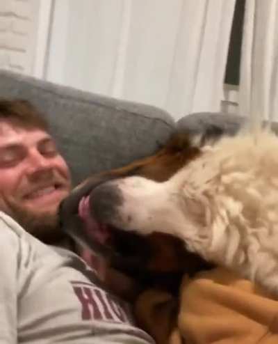 "I don’t think you guys see me... here I am, pet me!”