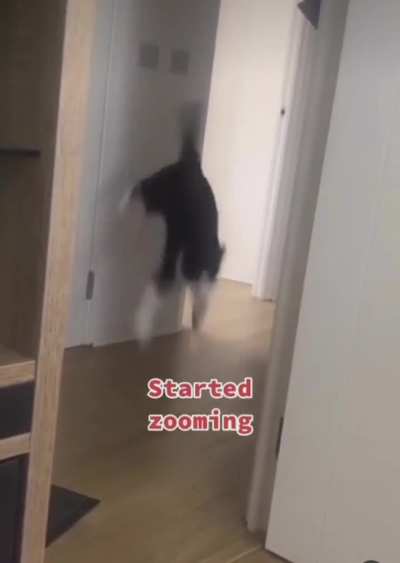 Smooth Kittycat