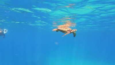 ?Sharks Cove - Oahu, Hawaii ?
