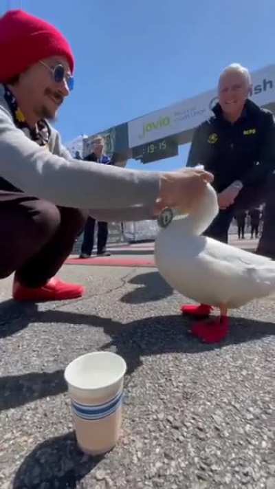 Maybe Maybe Maybe