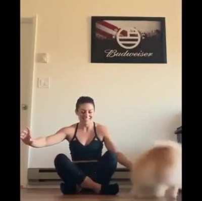 The Standing Spin