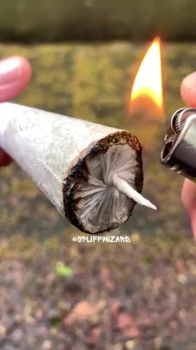 Beat way to prepare a joint/spliff to smoke… pop the top first?