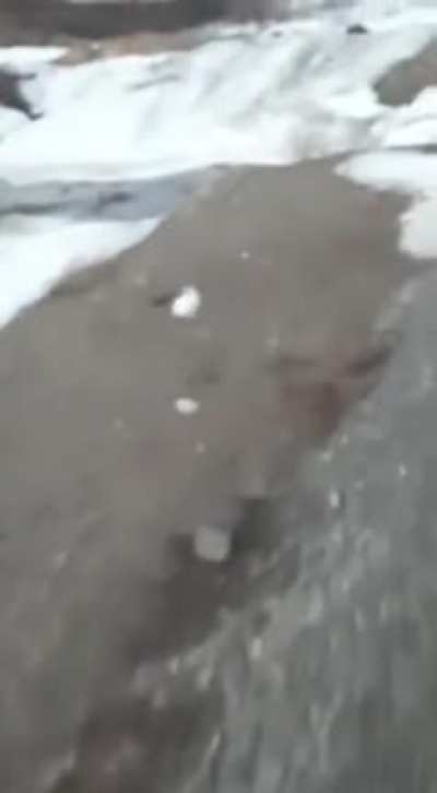 ? Rabbit outruns a train ?