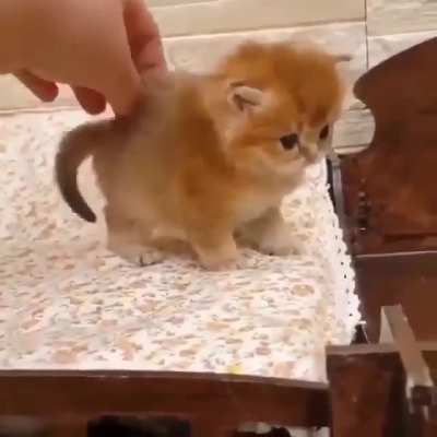 ??