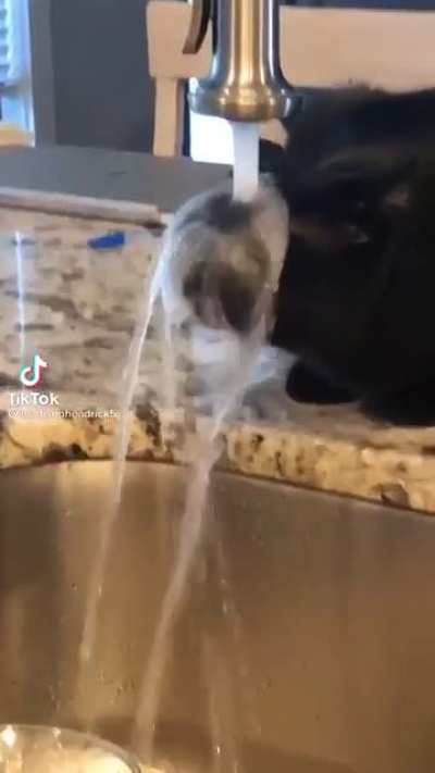 Science ?