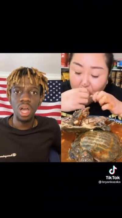 Turtles