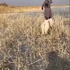 This guy is so fucking cool!