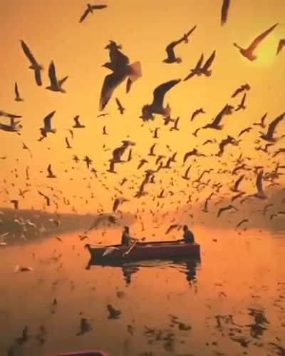 A fascinating moment in the Yamuna River through the lens of nirmal kharayat ?
