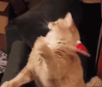 happy New Year??