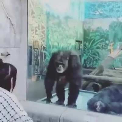 Maybe maybe maybe