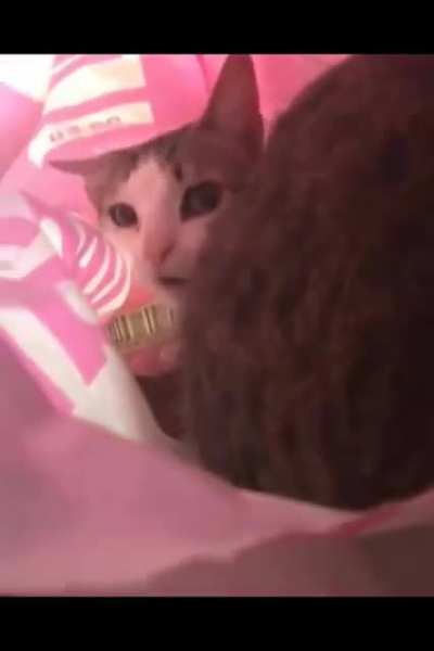 That wasn't me.
