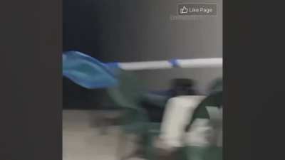 frog go brrr
