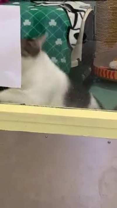 "I did NOT approve this sign..."