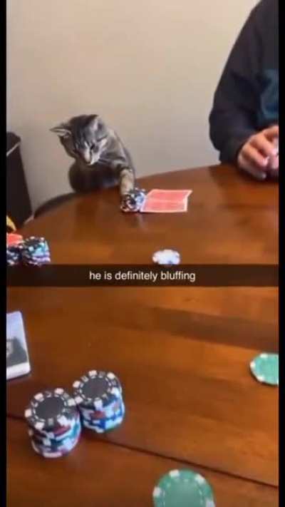 He's all in.