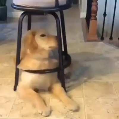 If I fit, I sit
