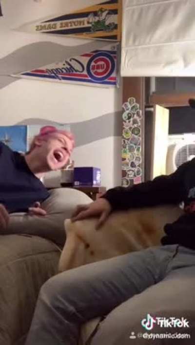 They were definitely stoned ?