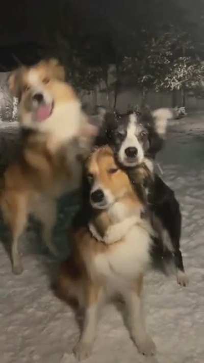 Bros???
