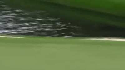 What a exciting hole in one!