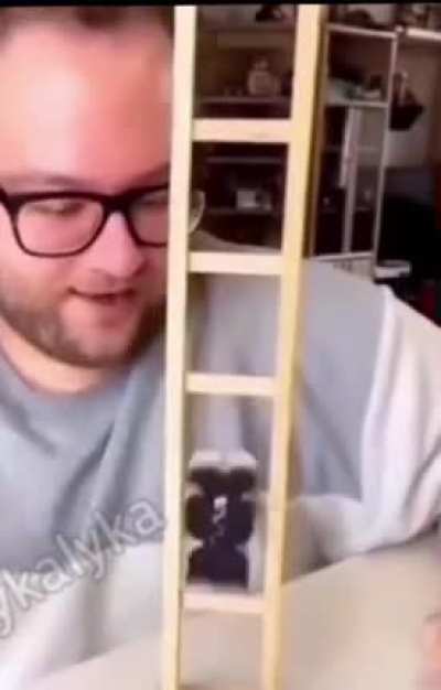 Watch till the end.