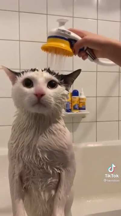 The gentleman is getting ready